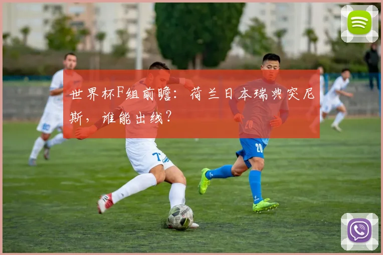 世界杯F组前瞻：荷兰日本瑞典突尼斯，谁能出线？